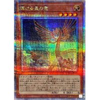 〔状態B〕輝ける星の竜【クォーターセンチュリーシークレット】{QCDB-JP003}《モンスター》