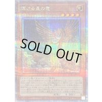 〔状態B〕輝ける星の竜【クォーターセンチュリーシークレット】{QCDB-JP003}《モンスター》