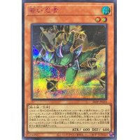 若い忍者【シークレットSPECIAL RED Ver.】{24PP-JP024}《モンスター》