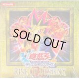 RISEOFDESTINY【-】{-}《未開封BOX》