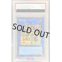 〔PSA9鑑定済〕閃刀姫カイナ【シークレット】{SLF1-JP041}《リンク》