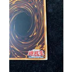 画像11: 〔状態A-〕☆旧アジア☆幻魔の殉教者【レリーフ】{SOI-AE041}《コレクター向け》