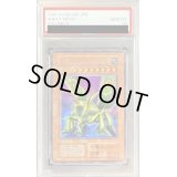 〔※状態難/PSA10鑑定済〕グレートモス(初期)【シークレット】{Vol.6}《モンスター》
