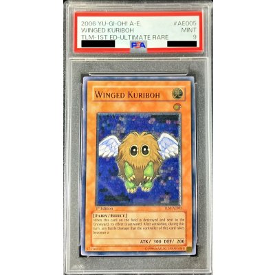 〔PSA9鑑定済〕☆旧アジア☆ハネクリボー【レリーフ】{TLM-AE005}《コレクター向け》