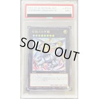 〔PSA9鑑定済〕伝説の白き龍【シークレット】{2023-JPD04}《エクシーズ》