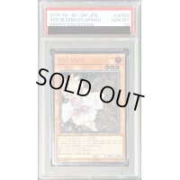 〔PSA10鑑定済〕灰流うらら【レリーフ】{RC02-JP009}《モンスター》