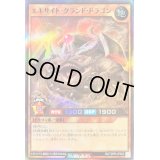 〔状態A-〕エキサイトグランドドラゴン【ノーマルパラレル】{RD/TDPR-JP002}《RDモンスター》