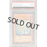 〔PSA10鑑定済〕☆旧アジア☆黄泉ガエル【レリーフ】{SOI-AE025}《コレクター向け》