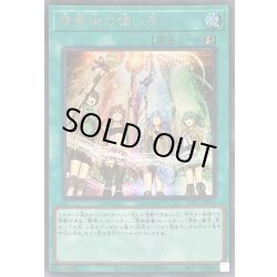 画像1: 〔状態A-〕精霊術の使い手(ロゴ)【シークレット】{TDS1-JPP05}《魔法》