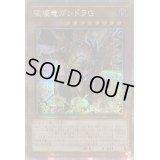 ☆アジア☆破壊竜ガンドラG【クォーターセンチュリーシークレット】{アジアLEDE-JP001}《モンスター》