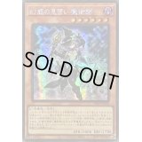 〔状態B〕☆アジア☆幻惑の見習い魔術師【シークレット】{アジアLEDE-JP029}《モンスター》