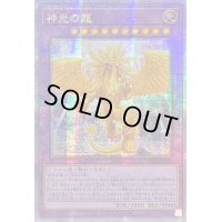 〔状態A-〕☆アジア☆神光の龍【クォーターセンチュリーシークレット】{アジアLEDE-JP038}《融合》