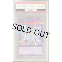 〔PSA10鑑定済〕究極竜魔導師【クォーターセンチュリーシークレット】{QCDB-JP001}《融合》