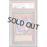 〔PSA10鑑定済〕ブラックマジシャンガール【シークレット】{QCDB-JP008}《モンスター》