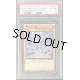 〔PSA10鑑定済〕青眼の白龍【KC】{MVPI-JP002}《モンスター》