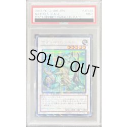画像1: 〔PSA9鑑定済〕ナチュルビースト【シークレット】{DTC1-JP082}《シンクロ》