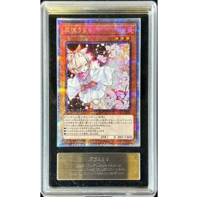 〔ARS10鑑定済〕灰流うらら【プリズマティックシークレット】{PAC1-JP016}《モンスター》
