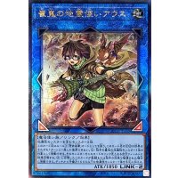 〔状態B〕崔嵬の地霊使いアウス【レリーフ】{QCCP-JP189}《リンク》