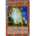 〔状態A-〕☆アジア☆太古の白石【クォーターセンチュリーシークレット】{アジアQCCP-JP004}《モンスター》