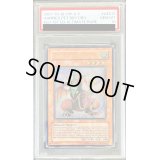 〔PSA10鑑定済〕☆旧アジア☆ハーピィズペット仔竜【レリーフ】{EOJ-AE013}《コレクター向け》