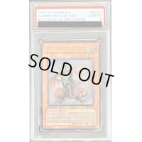 〔PSA10鑑定済〕☆旧アジア☆ハーピィズペット仔竜【レリーフ】{EOJ-AE013}《コレクター向け》