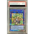 〔PSA10鑑定済〕蒼翠の風霊使いウィン【クォーターセンチュリーシークレット】{QCCU-JP188}《リンク》