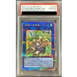 〔PSA10鑑定済〕蒼翠の風霊使いウィン【クォーターセンチュリーシークレット】{QCCU-JP188}《リンク》