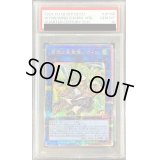 〔※状態難/PSA10鑑定済〕蒼翠の風霊使いウィン【クォーターセンチュリーシークレット】{QCCU-JP188}《リンク》