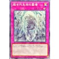 〔状態A-〕超古代生物の墓場【ノーマル】{24TP-JP116}《罠》
