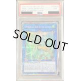 〔PSA9鑑定済〕召命の神弓アポロウーサ【スターライトレア】{RIRA-EN048}《リンク》