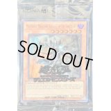 〔状態B〕(未開封)MasterfulMagicianServantoftheSanctuary【ウルトラ】{2024-EN004}《モンスター》