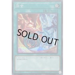画像1: 〔状態B〕(新)融合【シークレット】{VP24-JP002}《魔法》