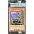 ☆アジア☆(未開封)聖域に仕えし練達の魔導師/MasterfulMagicianServantoftheSanctuary【ウルトラ】{アジア2024-EN004}《モンスター》