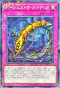 バージェストマカナディア【ノーマルパラレル】{24EP-JP116}《罠》