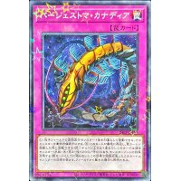〔状態B〕バージェストマカナディア【ノーマルパラレル】{24EP-JP116}《罠》