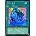 魂の解放【ノーマル】{SD14-JP021}《魔法》
