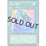 魂の解放【ノーマル】{SD14-JP021}《魔法》