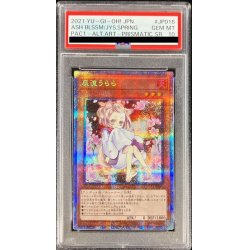 画像1: 〔※状態難/PSA10鑑定済〕(新)灰流うらら【プリズマティックシークレット】{PAC1-JP016}《モンスター》
