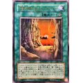 〔状態B〕王家の眠る谷ネクロバレー【ウルトラパラレル】{301-032}《魔法》