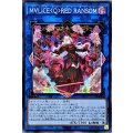 ☆アジア☆M∀LICEQREDRANSOM【シークレット】{アジアDBCB-JP018}《リンク》