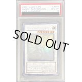 〔PSA10鑑定済〕エンシェントフェアリードラゴン【ホログラフィック】{ANPR-JP040}《シンクロ》