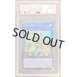 〔PSA10鑑定済〕召命の神弓アポロウーサ【プリズマティックシークレット】{PAC1-JP028}《リンク》