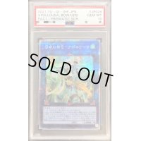 〔PSA10鑑定済〕召命の神弓アポロウーサ【プリズマティックシークレット】{PAC1-JP028}《リンク》