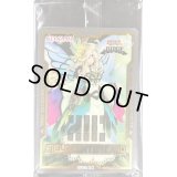 (未開封)光の王マルデル(JUDGE)【-】{-}《フィールドセンターカード》