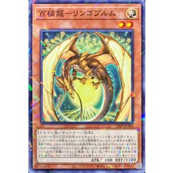 画像1: 百檎龍リンゴブルム【ノーマルパラレル】{24TP-JP403}《モンスター》