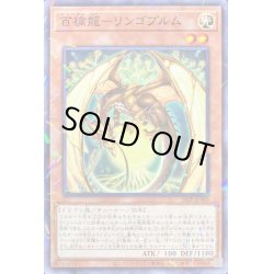 画像1: 百檎龍リンゴブルム【ノーマルパラレル】{24TP-JP403}《モンスター》