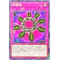 破壊輪【ノーマルパラレル】{24EP-JP213}《罠》