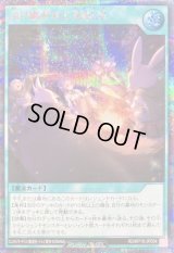 〔状態B〕語り継がれし英雄譚(5人)【シークレット】{RD/KP19-JP054}《RD魔法》