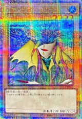 〔状態A-〕アクアマドール【クォーターセンチュリーシークレット】{QCLP-JP002}《モンスター》