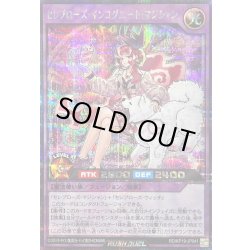 画像1: 〔状態A-〕セレブローズインコグニートマジシャン(背景赤紫)【シークレット】{RD/KP19-JP041}《RDフュージョン》